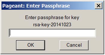 Using Pageant to store passphrase for a key After you enter the right - photo 3