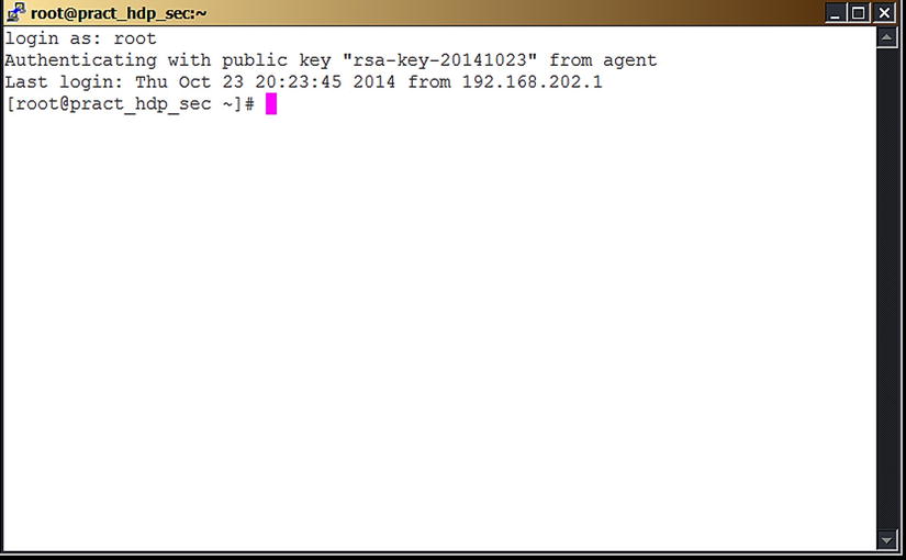 Key-based authentication performed using decrypted key from Pageant PuTTY - photo 6