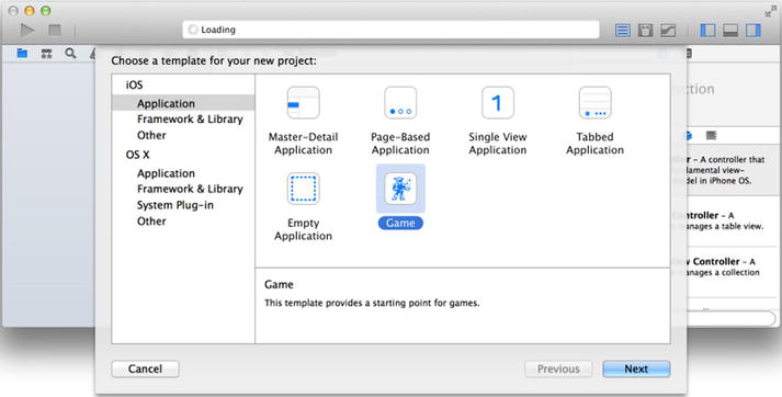 depicts the basic project info that requires you to fill in the following - photo 5