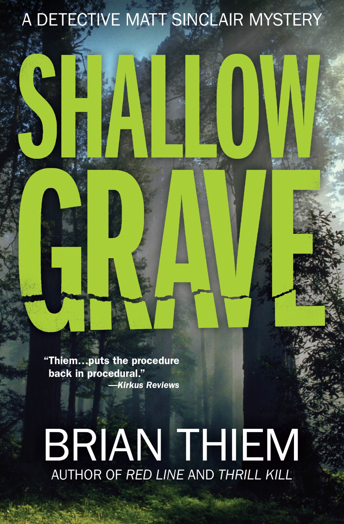 Shallow grave a Matt Sinclair novel - image 1