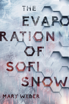 Mary Christine Weber - The evaporation of Sofi Snow