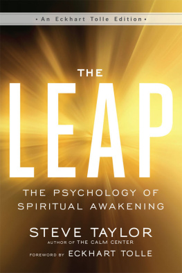 Steve Taylor The Leap: The Psychology of Spiritual Awakening