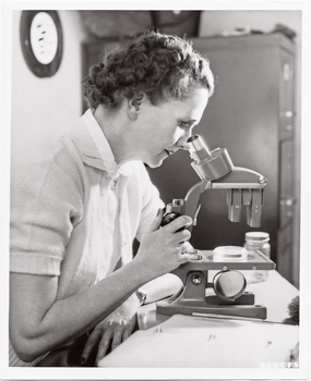 Rachel Carson author of The Sea Around Us in 1951 Yale Beinecke Rachel - photo 4