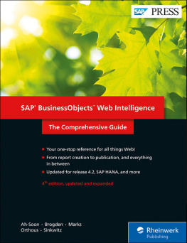 coll. SAP BusinessObjects Web Intelligence