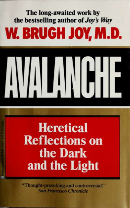 W. Brugh Joy - Avalanche: Heretical Reflections on the Dark and the Light
