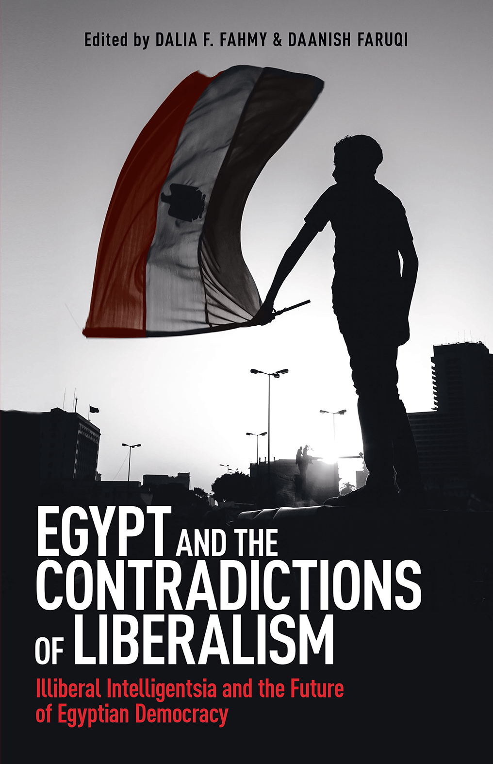 Praise for Egypt and the Contradictions of Liberalism I read Egypt and the - photo 1