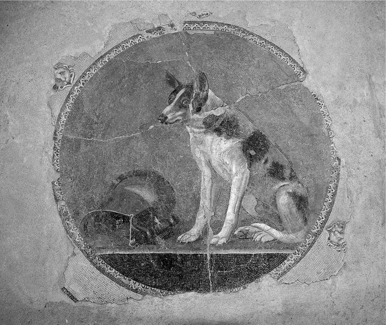 FRONTISPIECE Dog mosaic recently discovered at Alexandria Copyright - photo 1