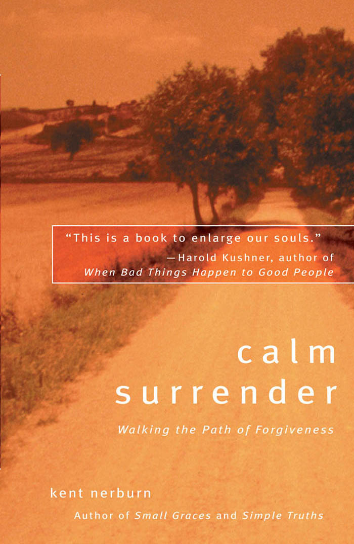 Calm Surrender By Kent Nerburn A Haunting Reverence Letters to My Son Make Me - photo 1