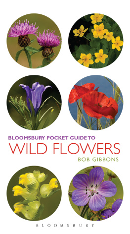 Bob Gibbons - Pocket Guide to Wild Flowers