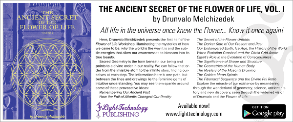 DNA of the Spirit Vol 2 A practical Guide to Reconnecting With Your Divine Blueprint - photo 6