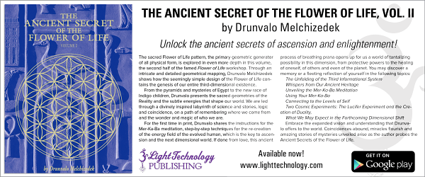 DNA of the Spirit Vol 2 A practical Guide to Reconnecting With Your Divine Blueprint - photo 7