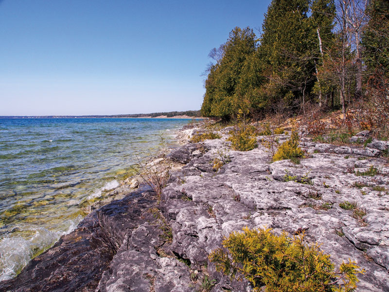 Fractured bedrock near the Niagara Escarpment in High Cliff State Park - photo 3