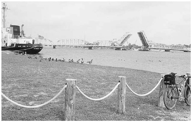 The harbor view is fascinating in Sturgeon Bay Theres more than scenery in - photo 4