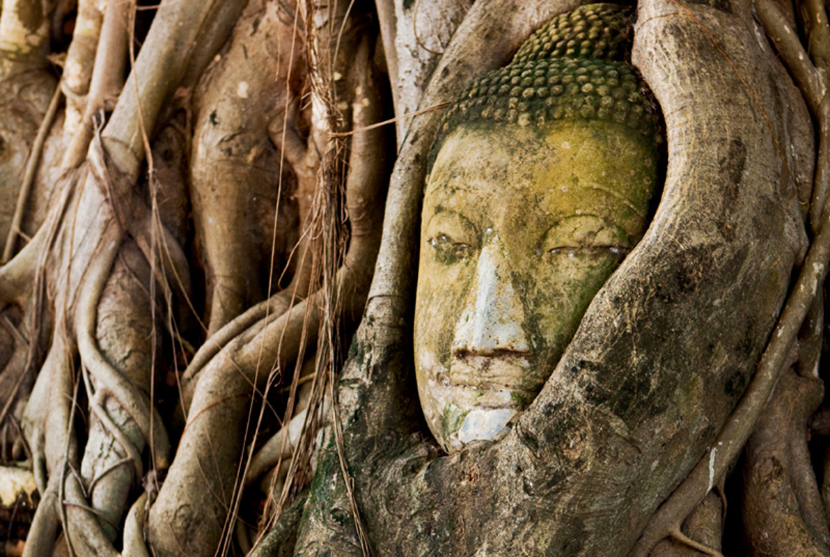 Top Attraction 6 Peter Stuckings APA Ayutthaya A national treasure this - photo 10