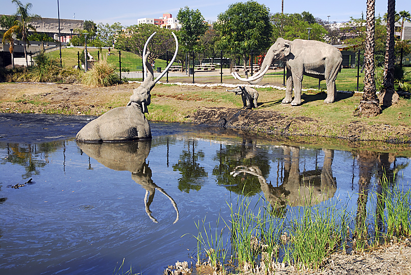 La Brea Tar Pits Page Museum LONELY PLANETGETTY IMAGES Los Angeles Top - photo 9