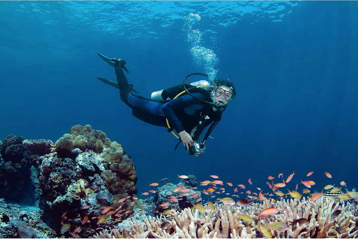 Top Attraction 4 iStock Pulau Sipadan One of the worlds top dive sites For - photo 7