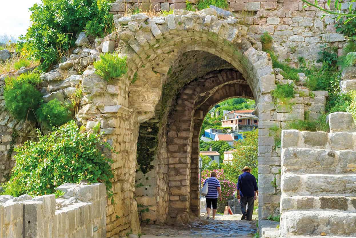 Top Attraction 4 Shutterstock Stari Bar Historic ruins ancient olive trees - photo 7