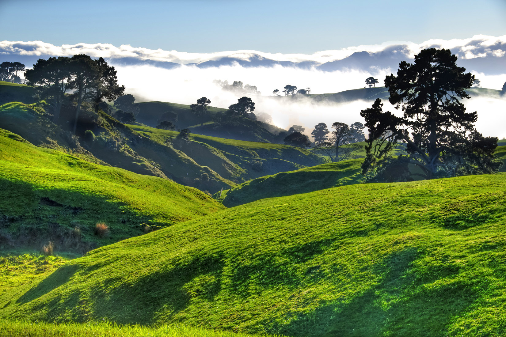 Matamata Rolling green hills of Middle Earth Trip 7 IAN BRODIE PHOTO GETTY - photo 5