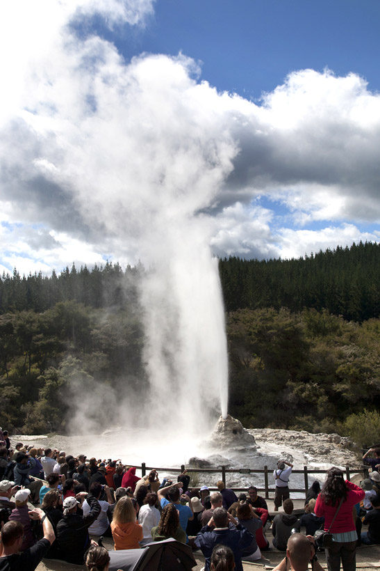 Rotorua Lady Knox Geyser Wai-O-Tapu Thermal Wonderland CHRIS MELLOR GETTY - photo 12