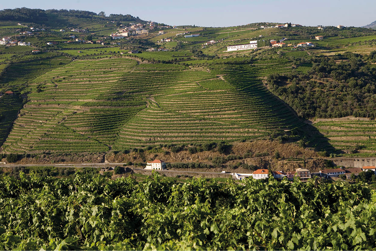 Top Attraction 8 Lydia EvansApa Publications Douro Valley One of Portugals - photo 12