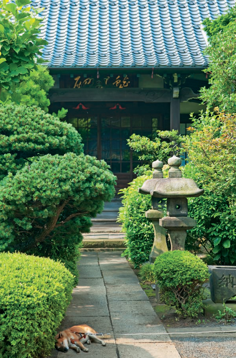 Seeking shade and enlightenment at Myogyo-ji Temple in Yanaka A solemn row - photo 16