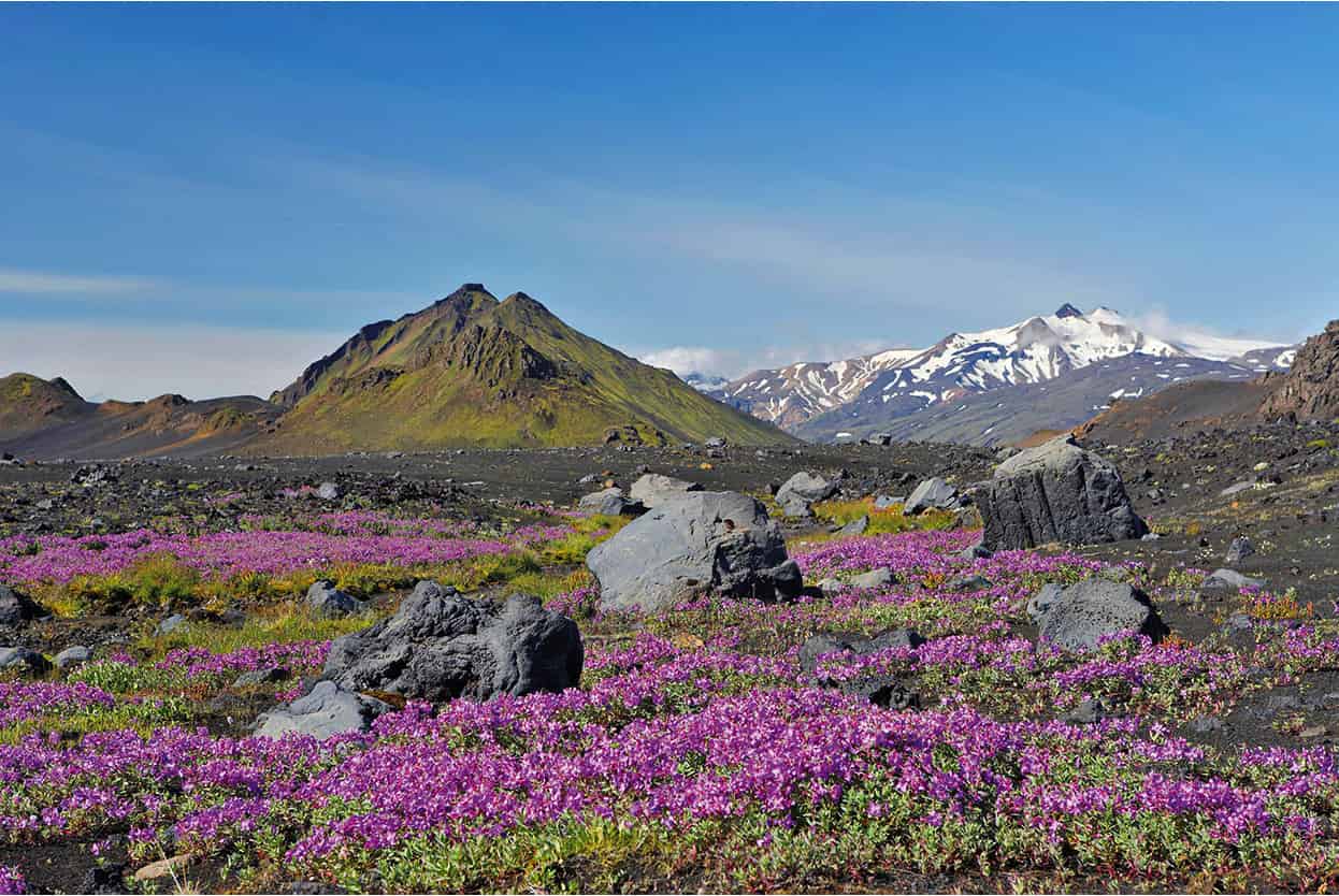 Top Attraction 1 Getty Images rsmrk One of Icelands most dramatic - photo 4