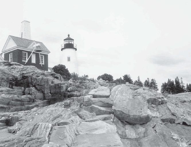 Pemaquid Point Light Regional groups tied to river preservation efforts such - photo 9