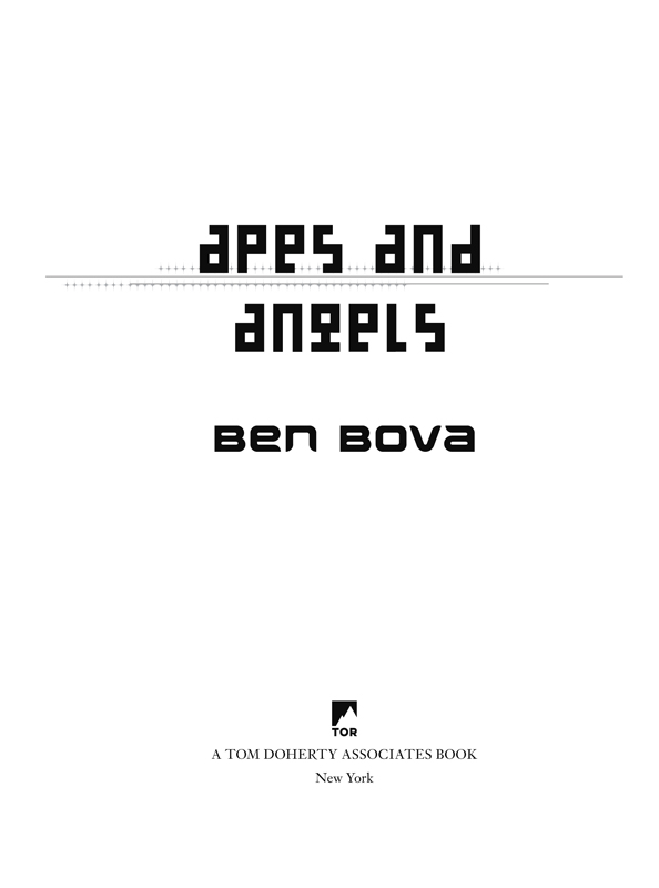 apes and angels - image 1