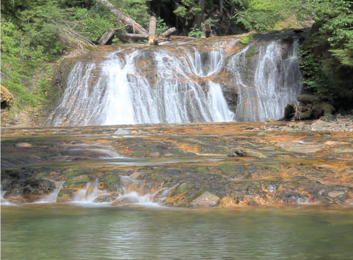 Quartz Creek Falls Gifford Pinchot Country Washington Upper Clear Creek - photo 16