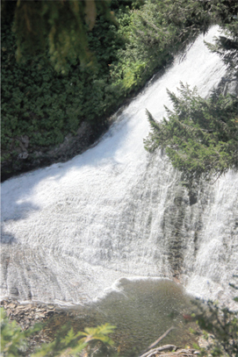 Upper Clear Creek Falls Mount Rainier Region Washington Elowah Falls The - photo 17