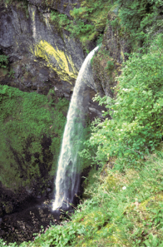 Elowah Falls The Columbia Gorge Oregon Yasko Falls The South Cascades - photo 18