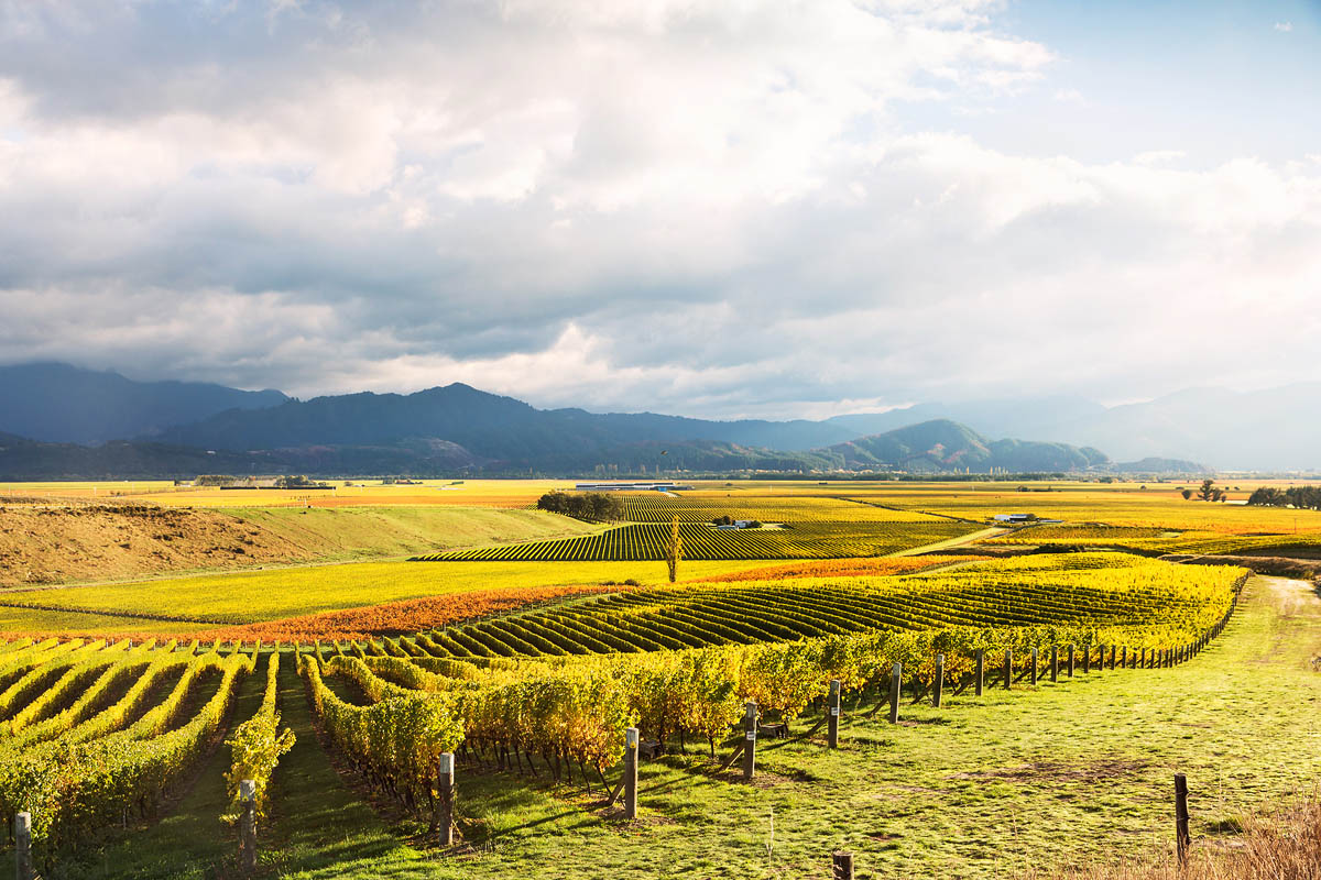 MATTEO COLOMBOGETTY IMAGES NEW ZEALANDS TOP 12 PLAN YOUR TRIP Fiordland - photo 11