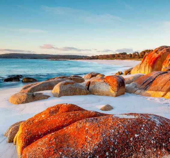 BAY OF FIRES Highlights Whether at Salamanca Market or modern art sensation - photo 7