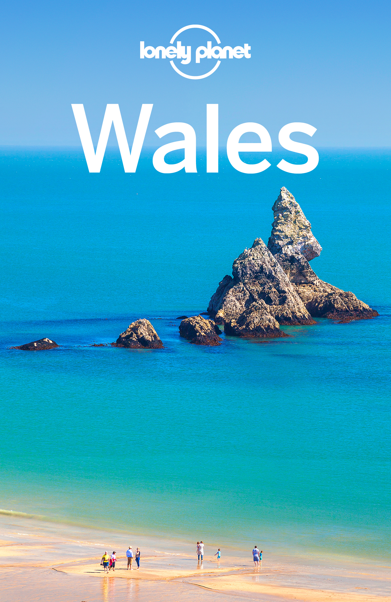 Lonely Planet Wales - image 1