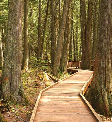 Trail of the Cedars kayaking Lake McDonald Glacier National Park is the - photo 9