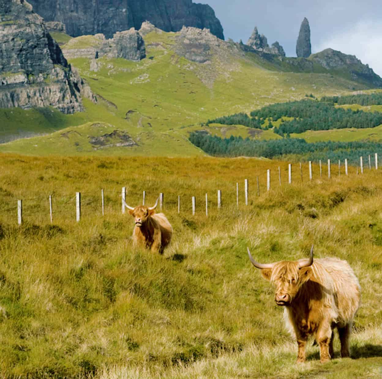 Isle of Skye Romantically associated with Bonnie Prince Charlie and Flora - photo 9