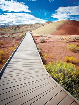 John Day Fossil Beds and the Painted Hills Portland The quirky - photo 14