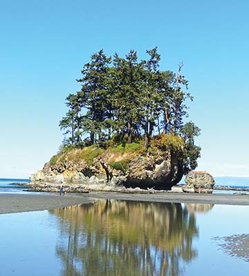 Olympic Peninsula coast Skyline Trail at Mount Rainier Tucked away in - photo 7