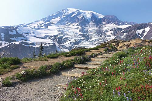 Skyline Trail at Mount Rainier Tucked away in the upper left corner of the - photo 8