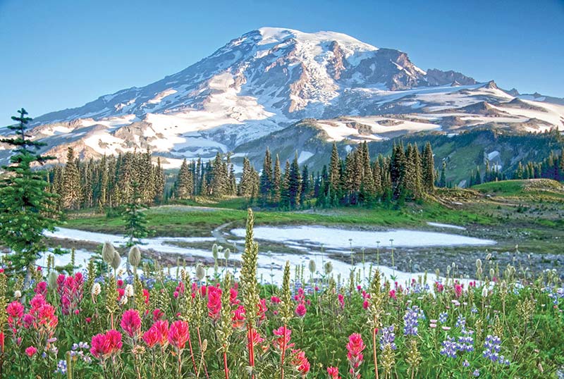 Volcanic Peaks Washingtons Cascade Range is studded with eye-catching peaks - photo 15