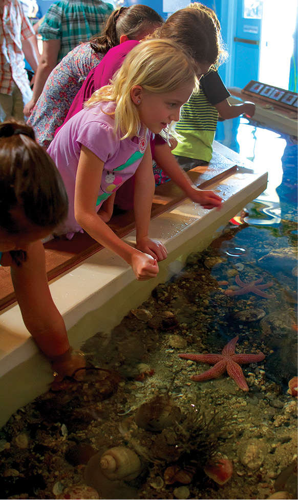 The touch tank at the Maine State Aquarium in West Boothbay Harbor gives - photo 20