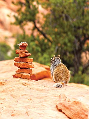 cairns mark the way snow in Bryce Canyon Zion National Park The story - photo 8