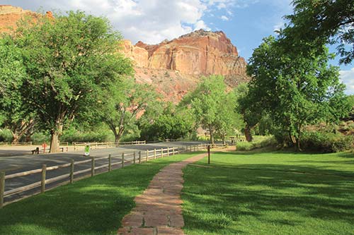 the Fruita area of Capitol Reef National Park Utah presents some curious - photo 13