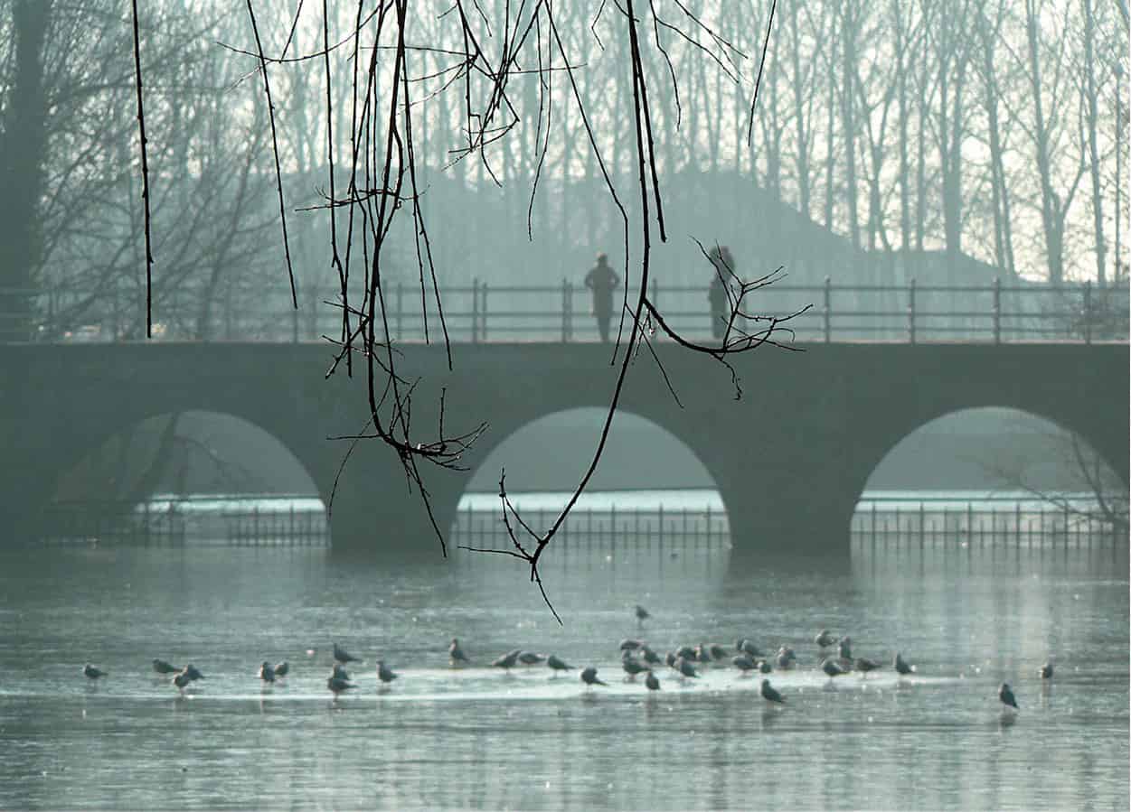 Romantic Bruges Watch swans glide over the mirror-like Minnewater the Lake of - photo 11