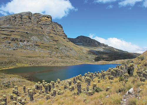 Sierra Nevada del Cocuy Idyllic colonial towns fast-paced cities stunning - photo 10