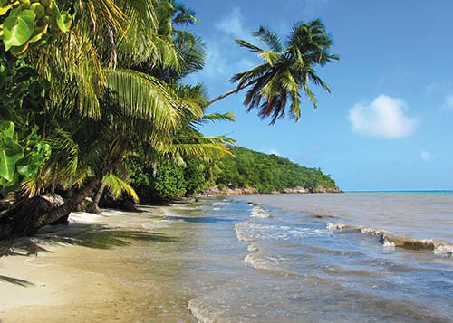 beach in Providencia young Colombian musician golden tanager Where to Go - photo 14