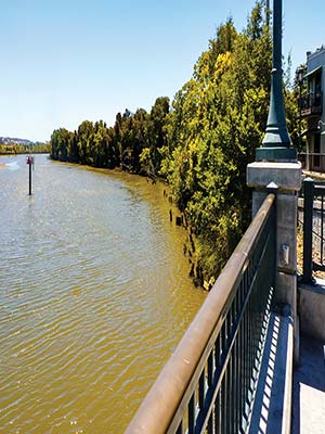 the Napa River Hales Apple Farm along the Gravenstein Highway It is hard to - photo 12