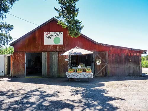 Hales Apple Farm along the Gravenstein Highway It is hard to know whether the - photo 13