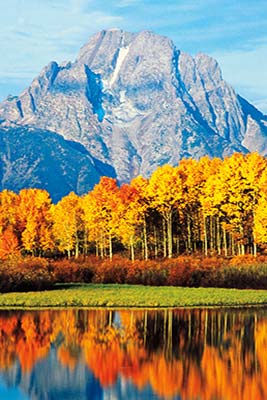 aspens in fall Yellowstones Upper Geyser Basin area Embodied by the - photo 11