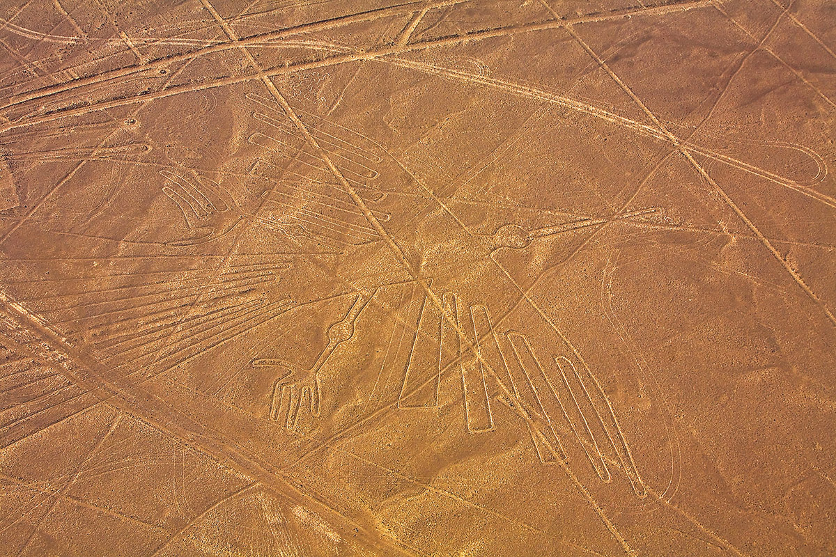 Condor biomorph GLOWIMAGES GETTY IMAGES Spider biomorph JARNO - photo 7